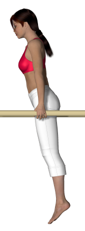 Gym_paralleles_appui_ROUDNEFF.png