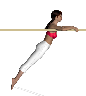 Gym_paralleles_appui_brachial_4_ROUDNEFF.png
