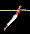 Gym_paralleles_appui_brachial_4_ROUDNEFF