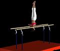 Gym_paralleles_trepied_2_ROUDNEFF
