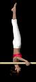 Gym_paralleles_trepied_ROUDNEFF