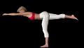 Gym_poutre_planche_ROUDNEFF