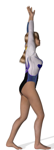 GYM_arrivee-roue.png