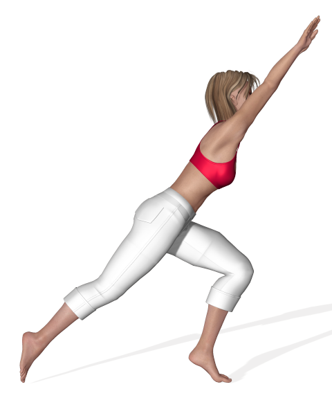 GYM_fente_ROUDNEFF.png