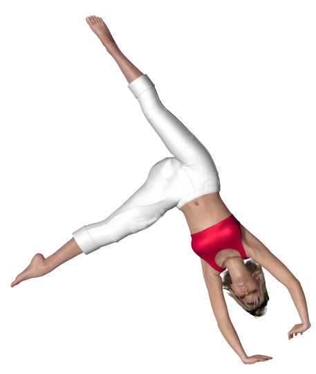 GYM_rondade_ROUDNEFF.png