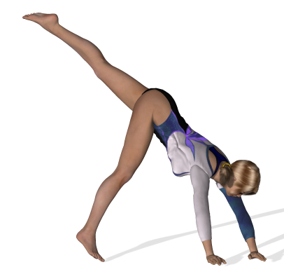 GYM_roue-3_ROUDNEFF.png