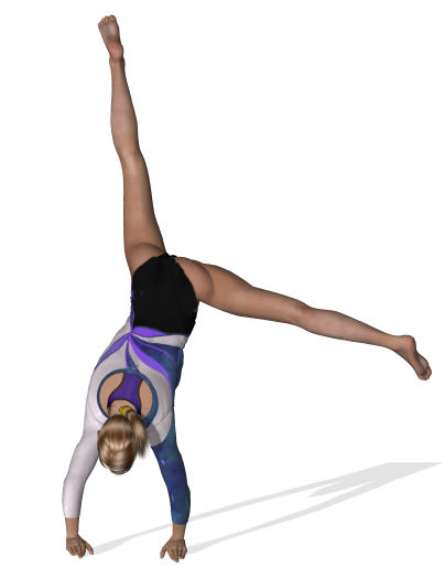 GYM_roue2_ROUDNEFF.png