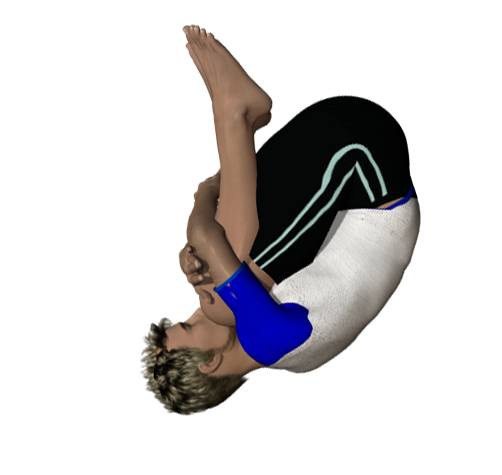 GYM_salto_ROUDNEFF.png