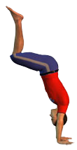 Gym_ATR_Niveau2_ROUDNEFF.png