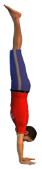 Gym_ATR_Niveau6_ROUDNEFF.png