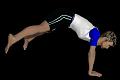 GYM_ATR_6_ROUDNEFF