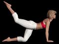 GYM_attitude_2_ROUDNEFF