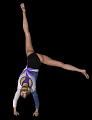 GYM_roue2_ROUDNEFF
