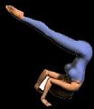 Gym_RouladeAvantTendu_1_GABEL
