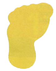 pied1.png